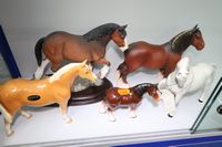 Collectables & Curio.