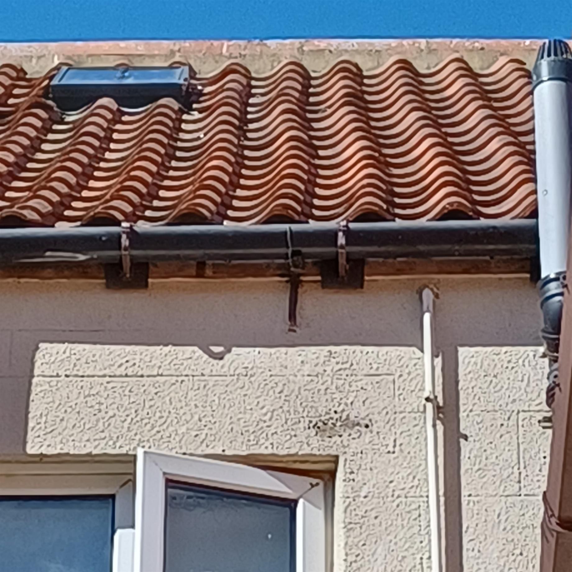 Misaligned roof tiles indicating Movement to the roof structure. 