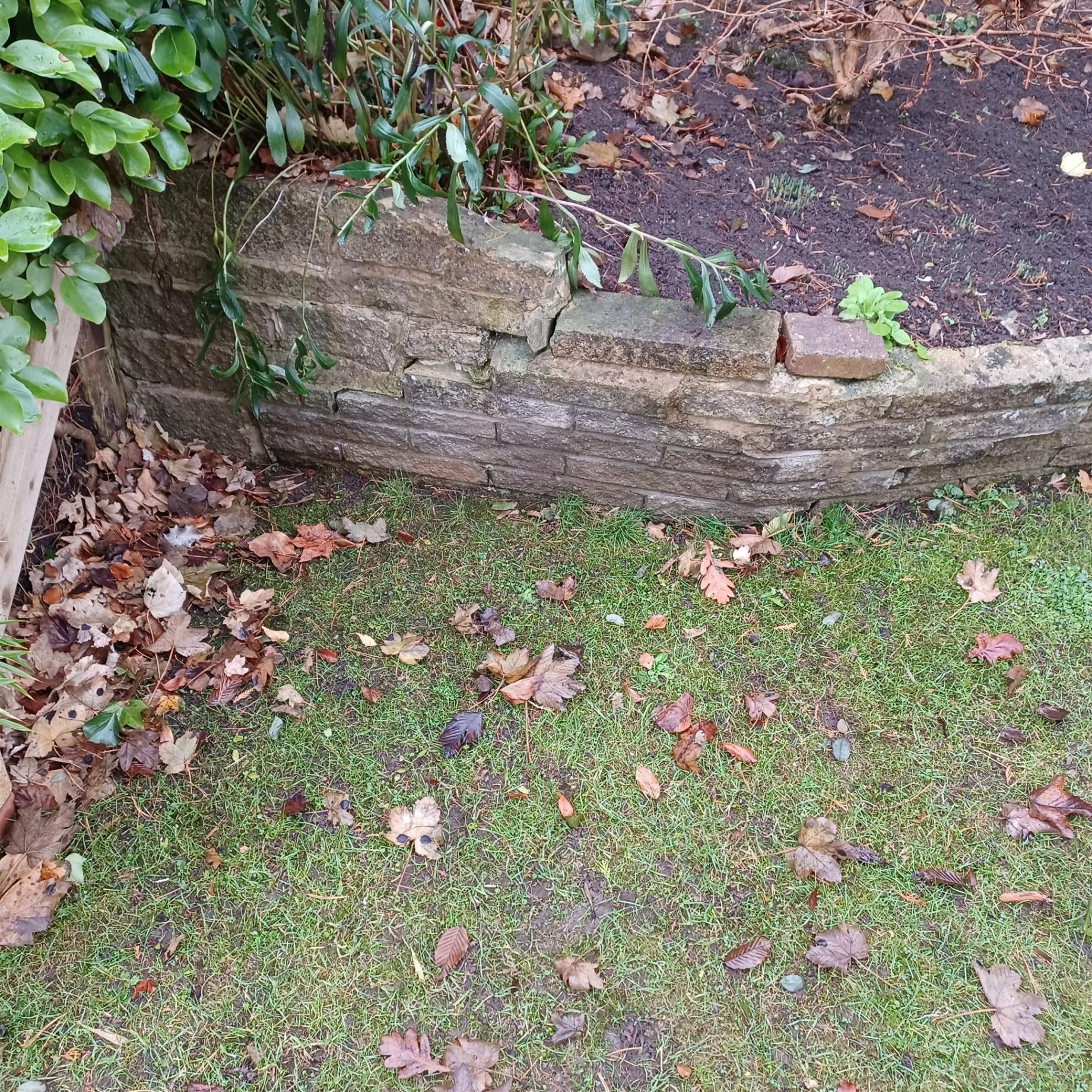 Garden retaining wall under stess and showing signs of movement.