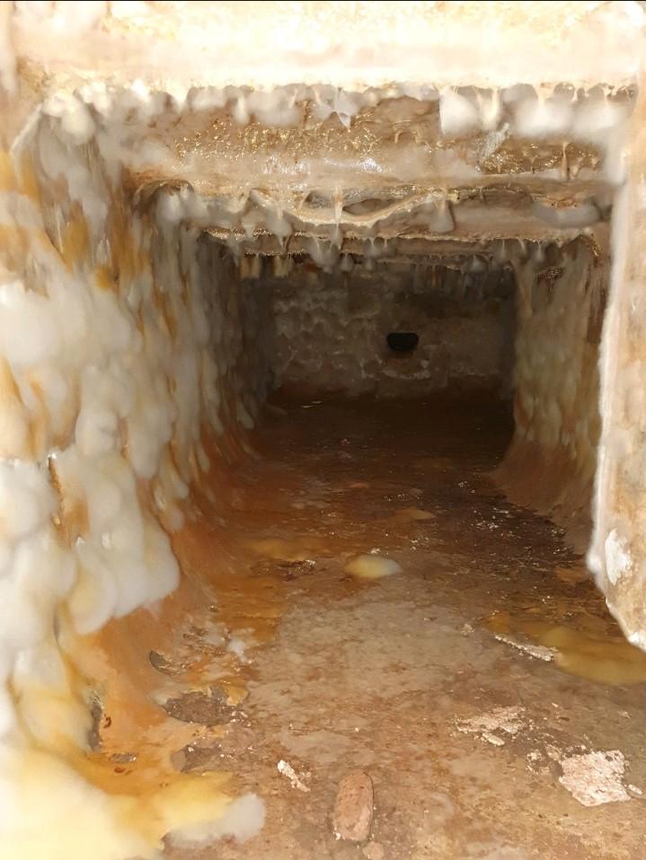 If you see a scene like this, you have a very serious dry rot problem!! (photo courtesy of a fellow chartered surveyor)
